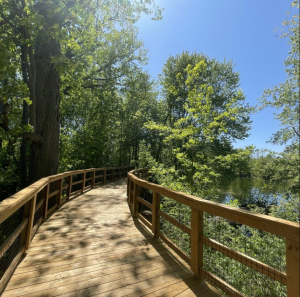 a wooden boardwalk through trees
